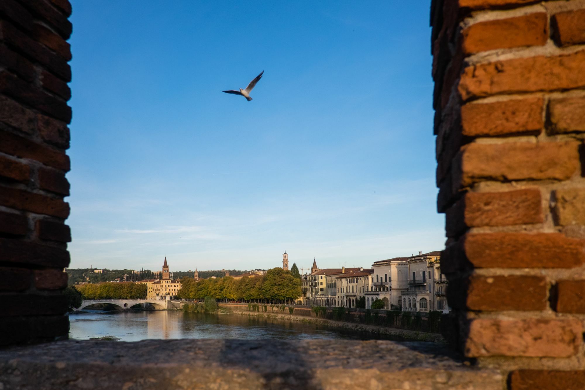 Residenza Roccaforte Scaligera Verona Kültér fotó